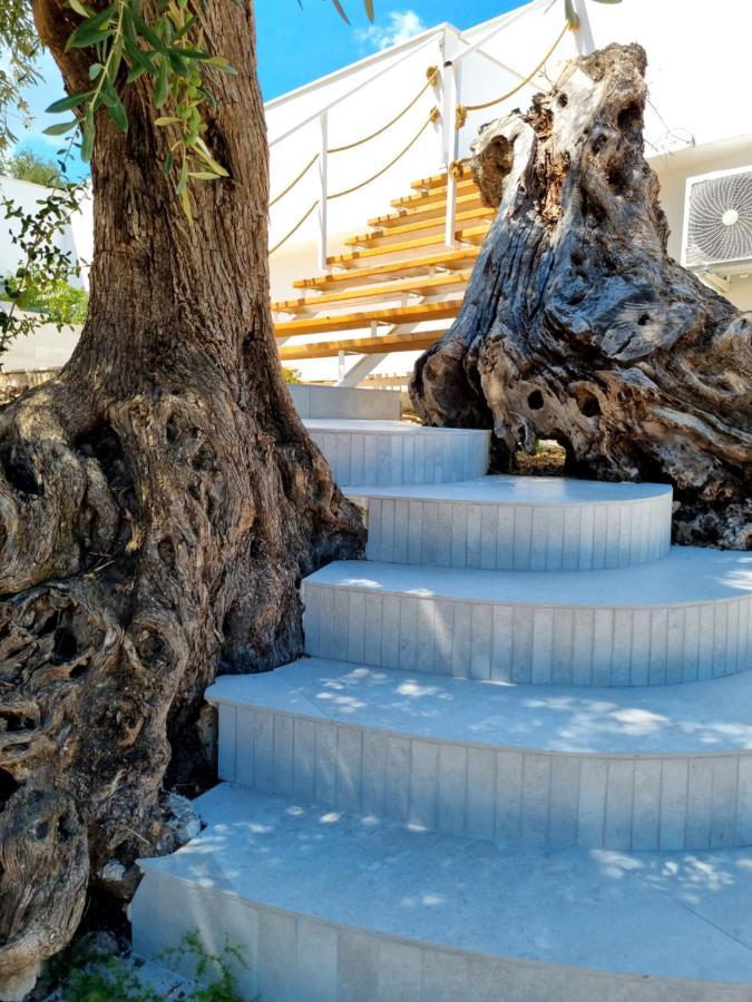 Le Fronde Vieste Exteriér fotografie