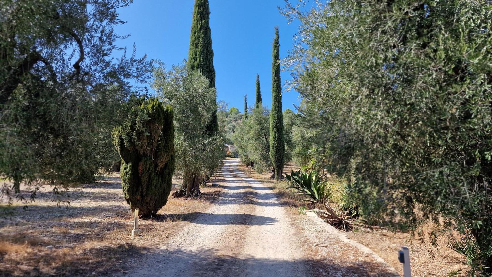 Le Fronde Vieste Exteriér fotografie
