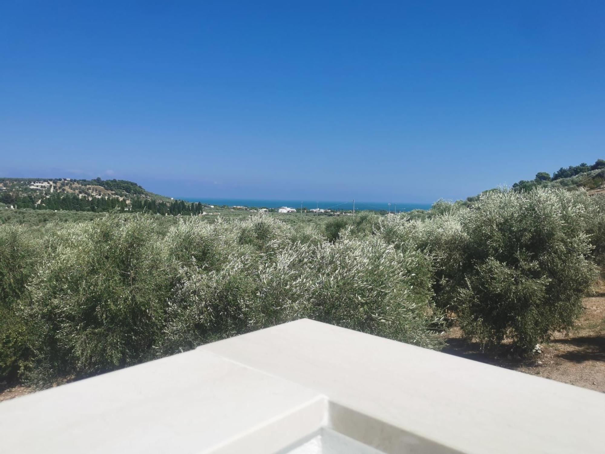 Le Fronde Vieste Exteriér fotografie